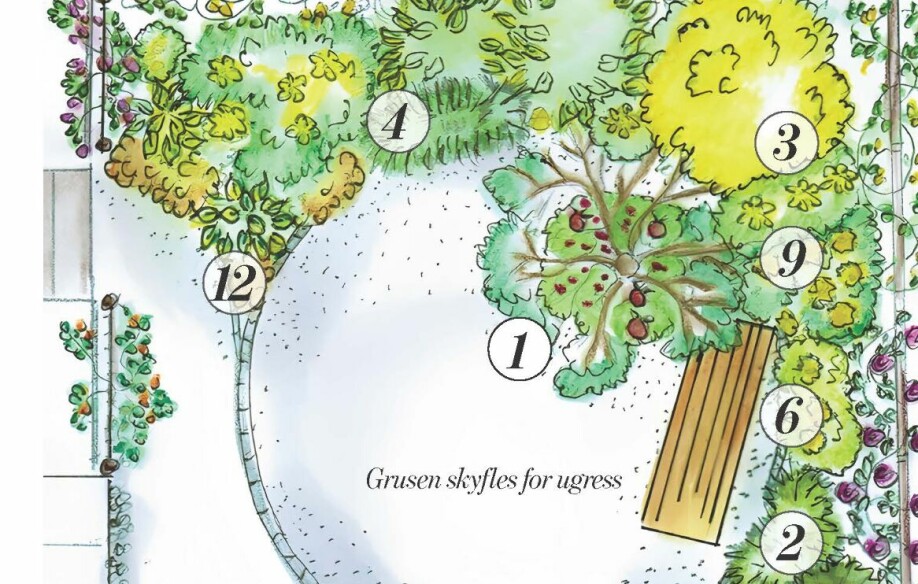 HAGEKART: Hagedesigner Kristin Granum Skogen liker å tegne en tegning av hagen som hun oppdaterer med ting som må gjøres hvor og når. Om du ikke liker å tegne, bør du i alle fall skrive ned en plan, anbefaler hun