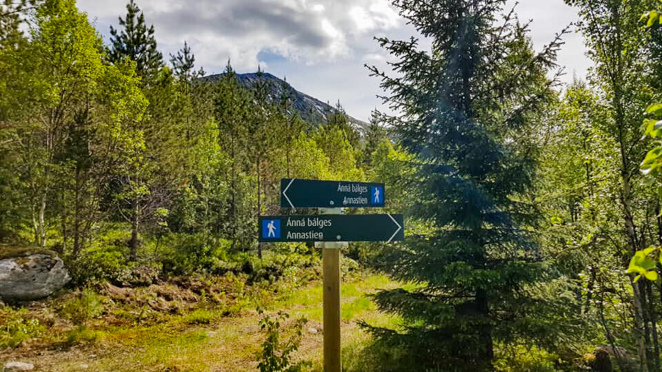 I ANNAS FOTSPOR: Annastien er lagt nøyaktig i det terrenget der Anna gikk med livredde krigsfanger. Selv var hun helt uten frykt.