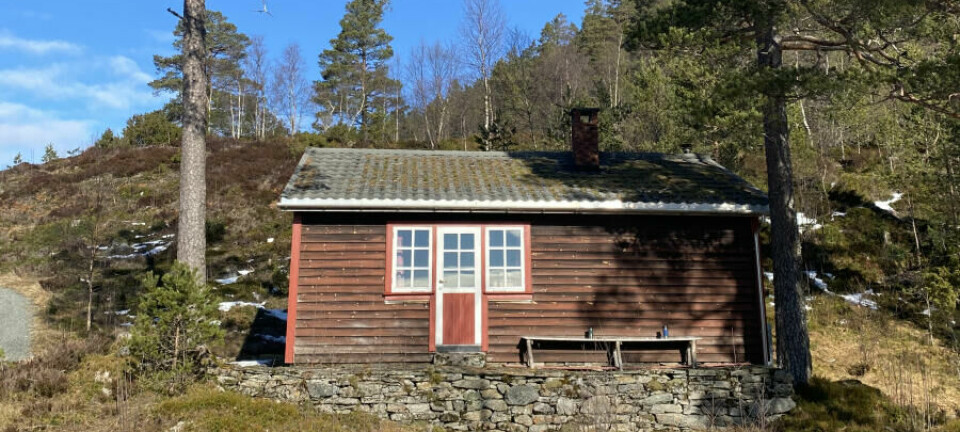 Mor og datter kjøpte hytta uten strøm og vann usett. Den ser ikke slik ut lenger