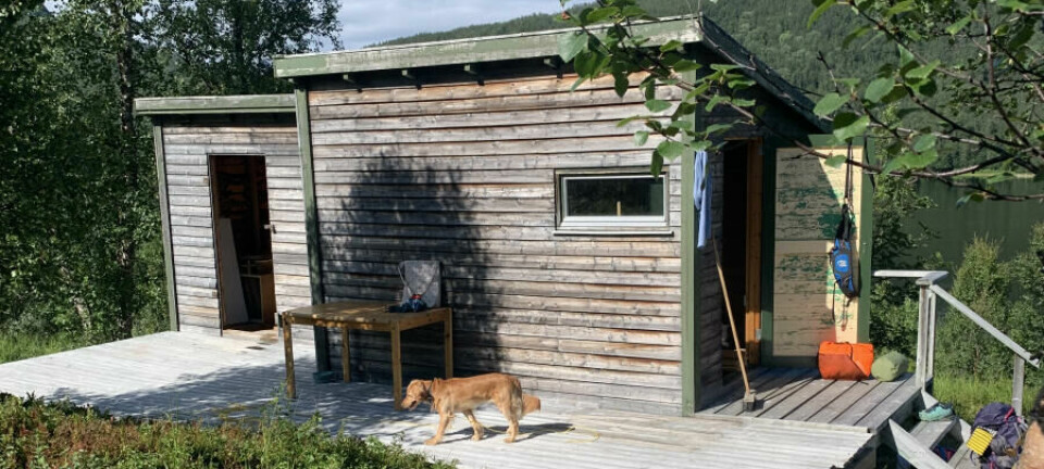 Den slitne skogskoia har fått nytt liv som mikrohytte på 16 m²