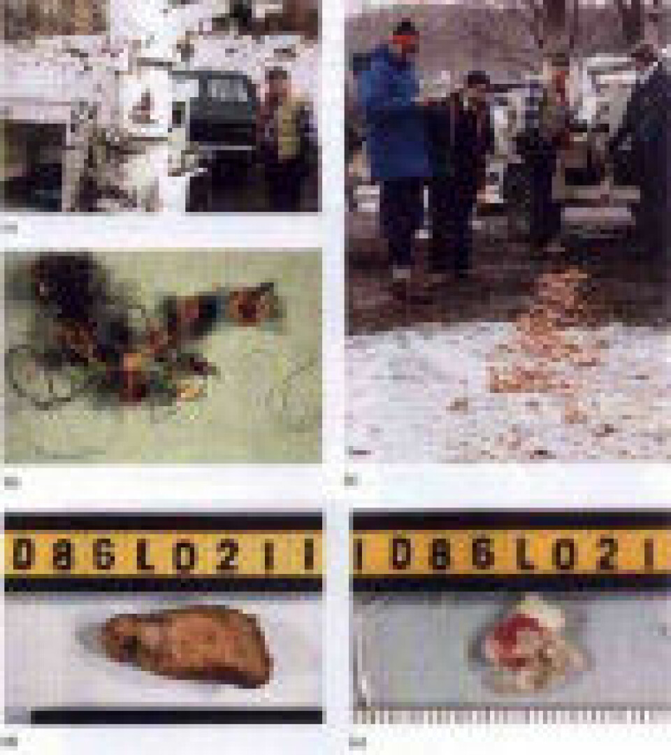 BEVISMATERIALE: Politiet fant bitte små rester etter tenner og knokler, klær og til og med små papirbiter som viste seg å være en konvolutt med Helles navn i snøen ved elvebredden der flise-maskinen sto.