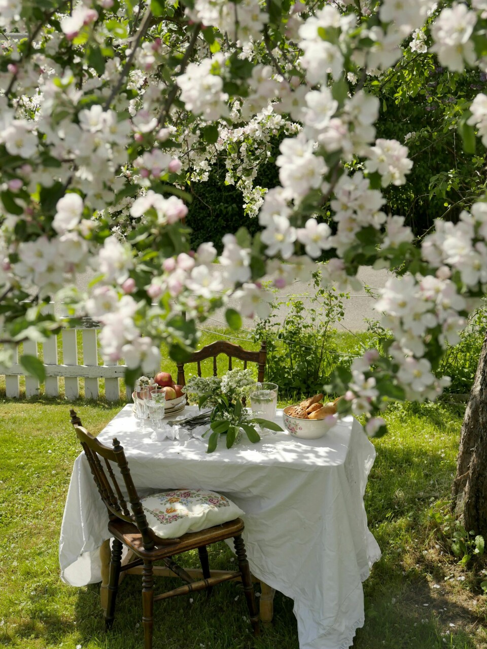KOSELIG KROK: Å sitte under et epletre i blomst gir en herlig følelse. Et større tre gir både skygge og stemning i hagen, så tenk etter før du går løs på de etablerte trærne.