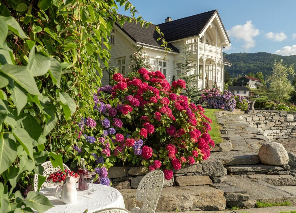 SAMSPILL: Sonene er laget med utgangspunkt i naturens former. I den smale delen av hagen langs sjøen har Tone anlagt flere ulike sittesoner på et underlag av skiferheller.