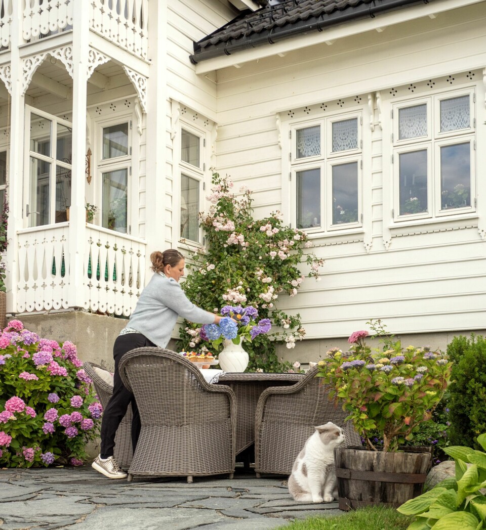 KLASSIKER: Klatrerosen 'New Dawn' lyser opp hushjørnet med sine store blomsterklaser fra juli til september.