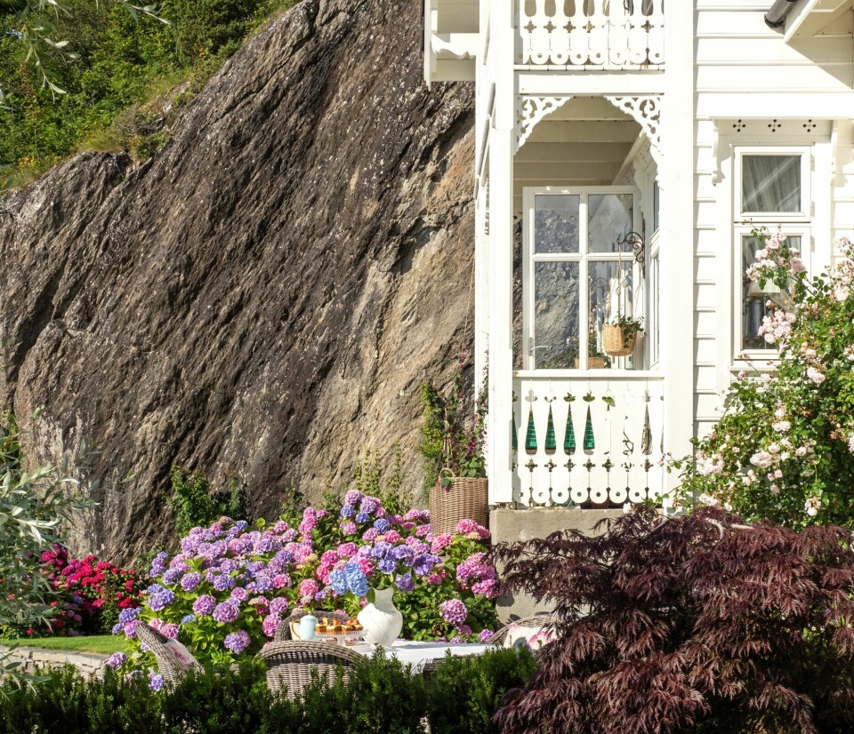KLASSIKER: En glassveranda midt på huset med mønedekor er et typisk trekk for sveitserhus på Vestlandet. Klatrerosen `New Dawn´ lyser opp hushjørnet mens et hav av hortensia sørger for blomsterfest i forkant av huset.
