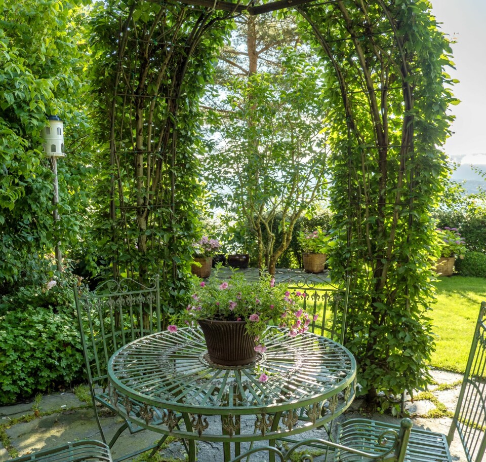 PRIVAT: Paviljongen av agnbøkplanter er plassert bakerst i hagen for å skape et svalt og rolig rom uten innsyn.