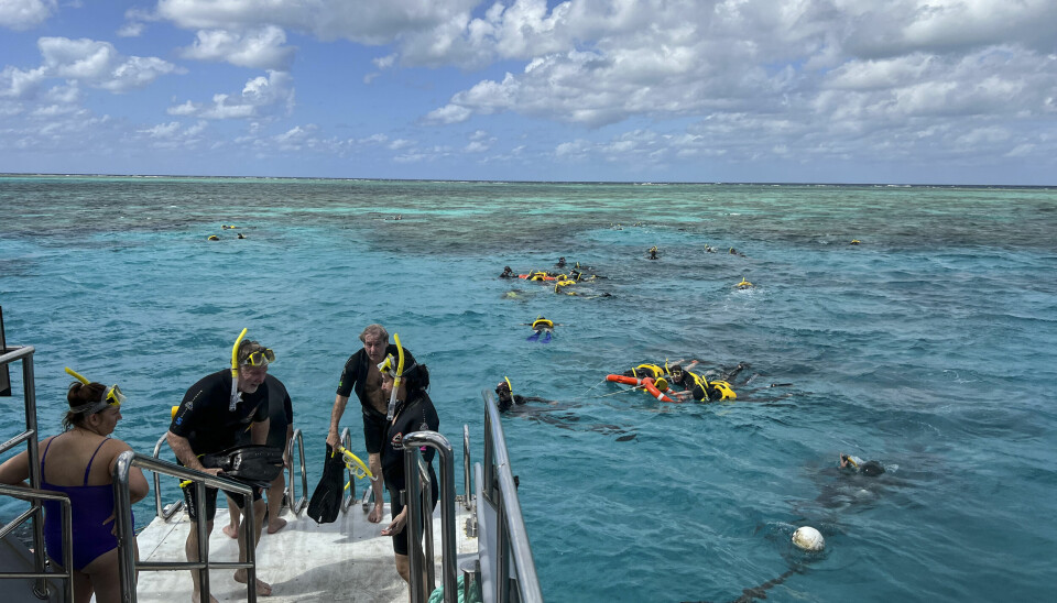 POPULÆRT: Turister dykker og snorkler ved Great Barrier Reef utenfor kysten av Queensland i Australia i 2022. Bildet er brukt i illustrasjonsøyemed.