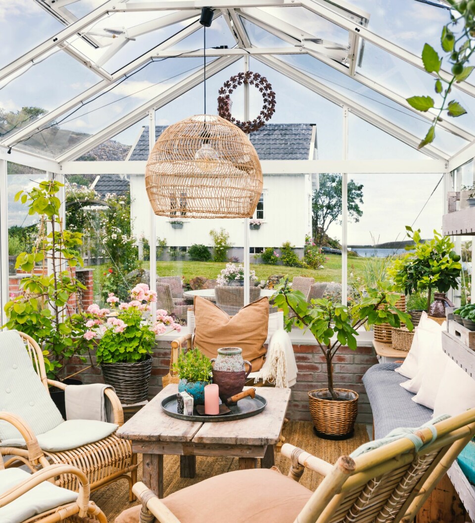 SOMMERLIG UTESTUE: Siden hytta er liten, var det viktig for Kine at drivhuset skulle være stort nok. Bordet er laget av en klaff fra et gammelt bord.