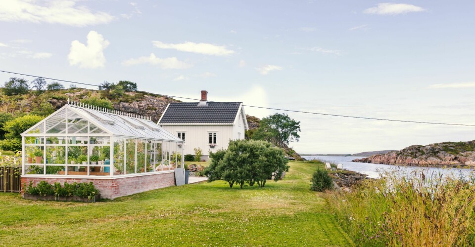 SOMMERLIG UTESTUE: Drivhuset skulle tåle det værharde kystklimaet og ha et utseende som passet med øvrig bebyggelse på tomta. Valget falt på Green Room Wall fra Willab Garden. Drivhuset er montert på en solid betongplate, og har innlagt strøm og vann.