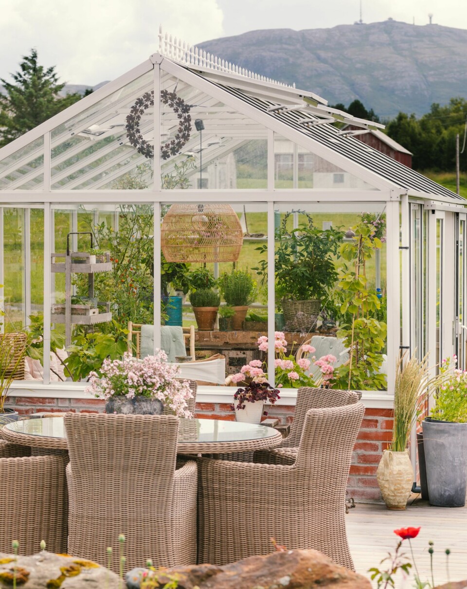 EN OASE: Drivhuset er en viktig del av hyttelivet. Det brukes også som en stue, uansett vær. Møbler fra Plantasjen.