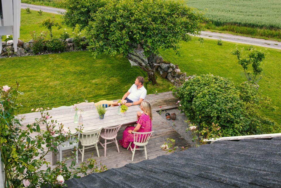 FRODIG: Selv om hagen ligger tett på havet, blomstrer rosene år etter år. Og hver vår dekkes de med hønsenetting for å hindre at rådyrene spiser dem opp. En tidkrevende jobb, som er nødvendig.