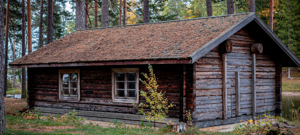 Vi har nylig kjøpt en gammel hytte som nesten ikke har vært i bruk de siste årene