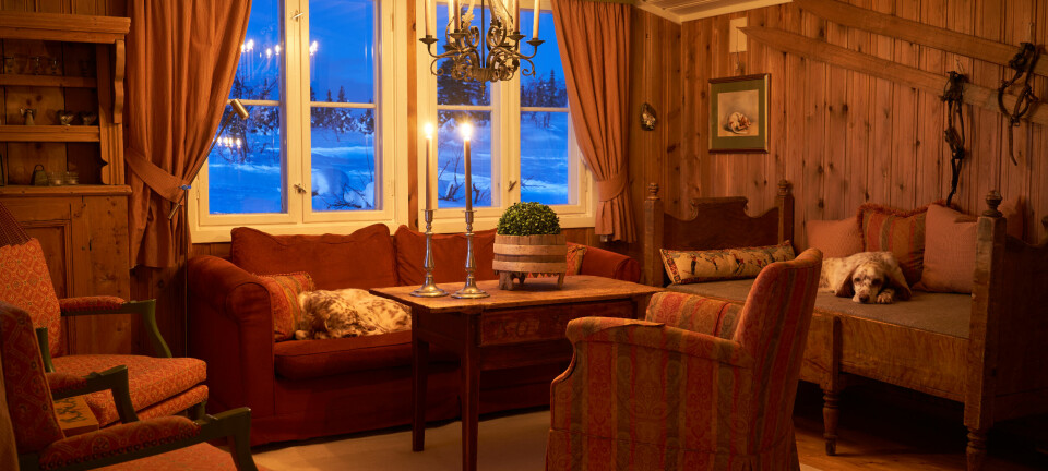 Vi har overtatt en hytte med mørke flekker i stoff og treverk. Kan det være mugg?