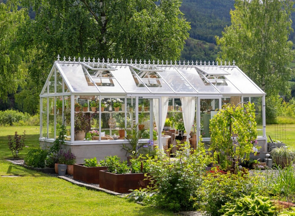 EKSTRA ROM: Med et veksthus i tilknytning til en kjøkkenhage, vil det være enkelt å starte sesongen med forkultivering inne, før plantene flyttes ut til sine plasser utenfor når temperaturen tillater det. Her ser vi Green Room Wall med en raus størrelse på ca. 19 kvm fra Willab Garden.