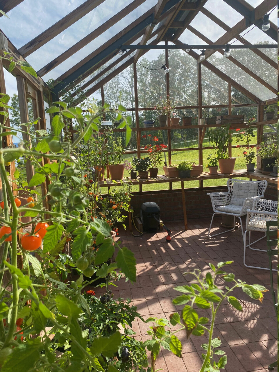 PRYD OG NYTTE: Hyller og løse plantekar er en smart måte å utnytte plassen i et drivhus. Når langbordet skal dekkes til middag er det enkelt å rydde plass. Her er Plantehus 10 i sedertre fra solfang.no.