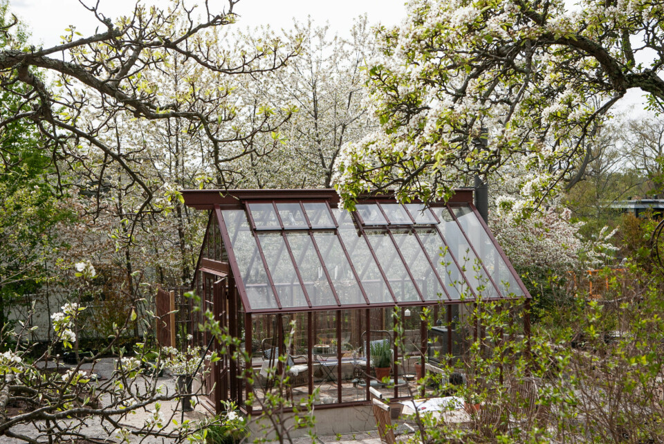 GODT INTEGRERT: Når veksthuset skal plasseres i uterommet, er det en kunst å få det til å passe inn. Første steg er valg av drivhus, men beplantningen rundt skaper flyten mellom de ulike sonene i hagen. Drivhus fra Sweden Green House.