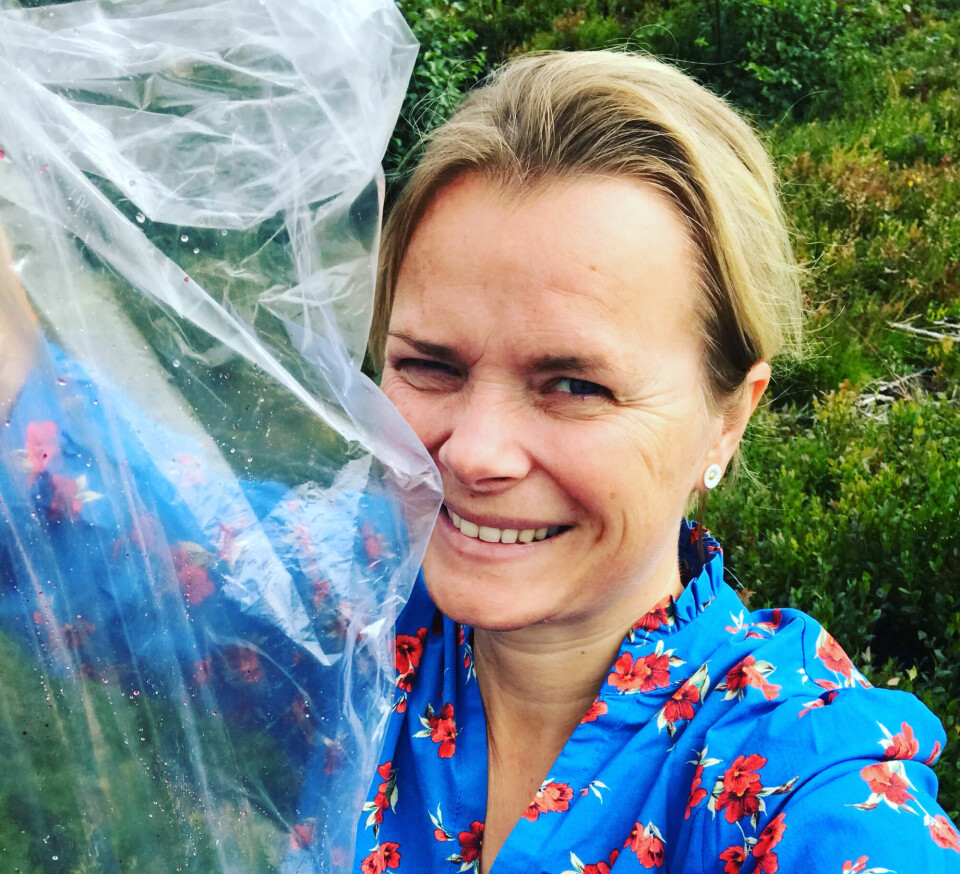 ET SENSOMMERMYSTERIUM: Hvor er alle multene? Jeg finner som regel bare blåbær …