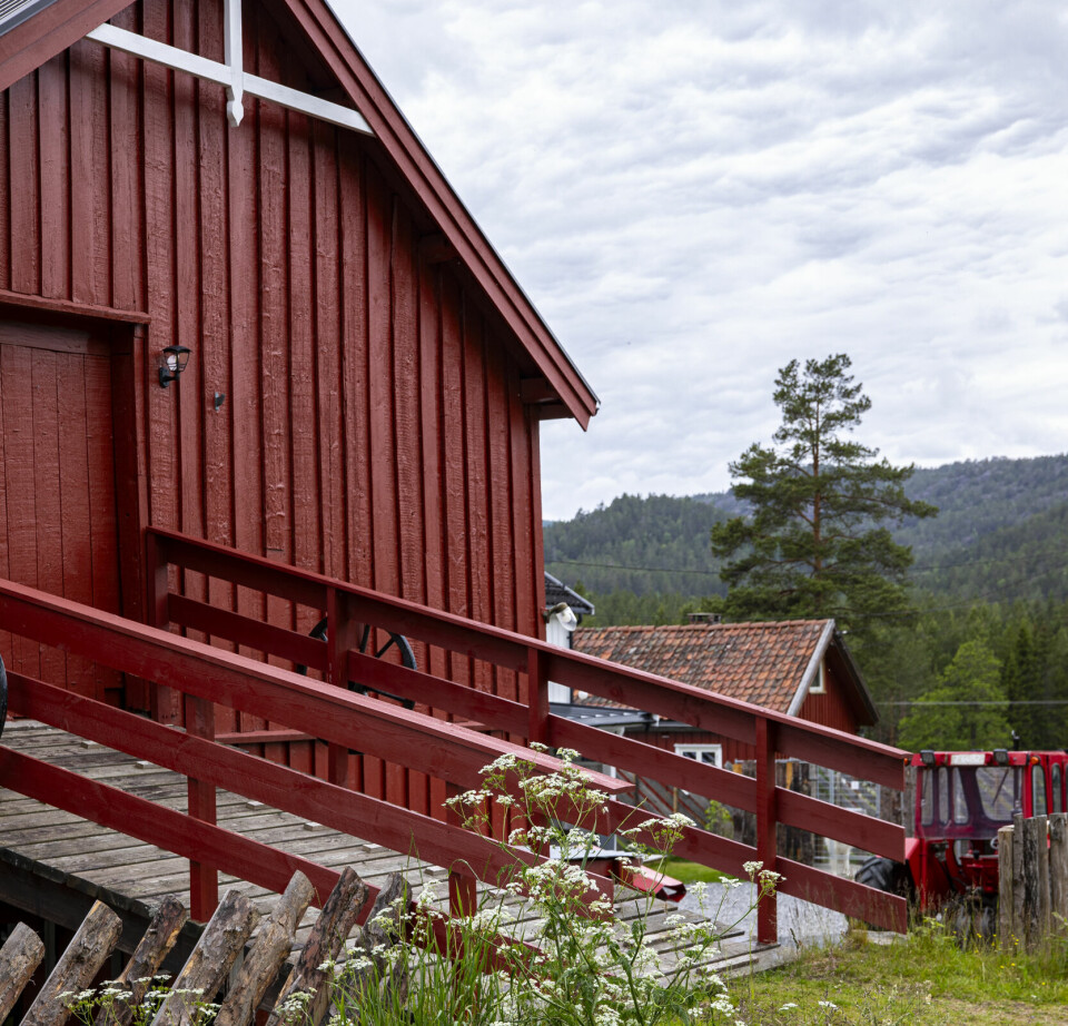 GAMMEL LÅVE: Låven var noe av det første de måtte pusse opp. Her har de et treningsrom og hønsehus. De har også en uinnredet andre etasje som de har planer om å skape noe ut av.