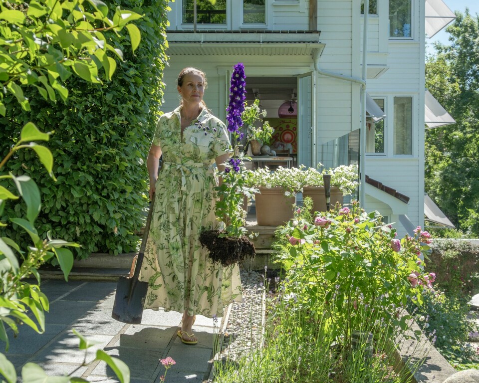 RØD TRÅD: På plattingen øverst i hagen gjentas hvite petuniaer i de store pottene, og sinnia og tobakksplante i de små.– Jeg kjøper fantastiske planter på et lokalt gartneri 20 minutter herfra hvor de sår selv og kvaliteten er unik.