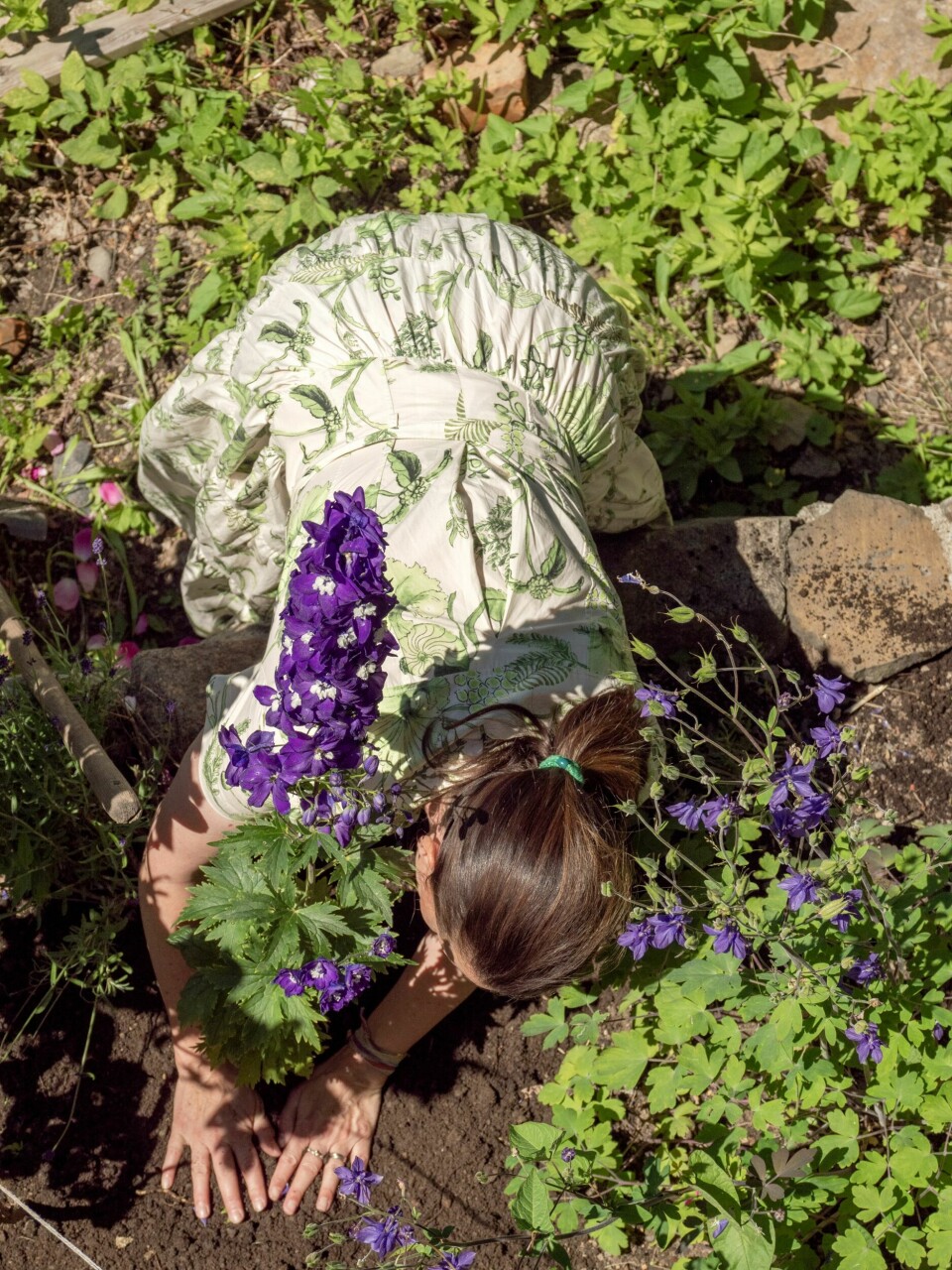 OMPLANTING: – Jeg har ønsket meg hvite riddersporer i hagen i lang tid, men jeg lykkes vanligvis ikke med å så dem. Derfor testet jeg heller å kjøpe noen små planter som jeg faktisk ikke visste fargen på. Siden fargen ble litt sterkere enn jeg håpet på, flyttet jeg dem til et hjørne hvor de blender godt inn med akeleiene, ler Camilla.