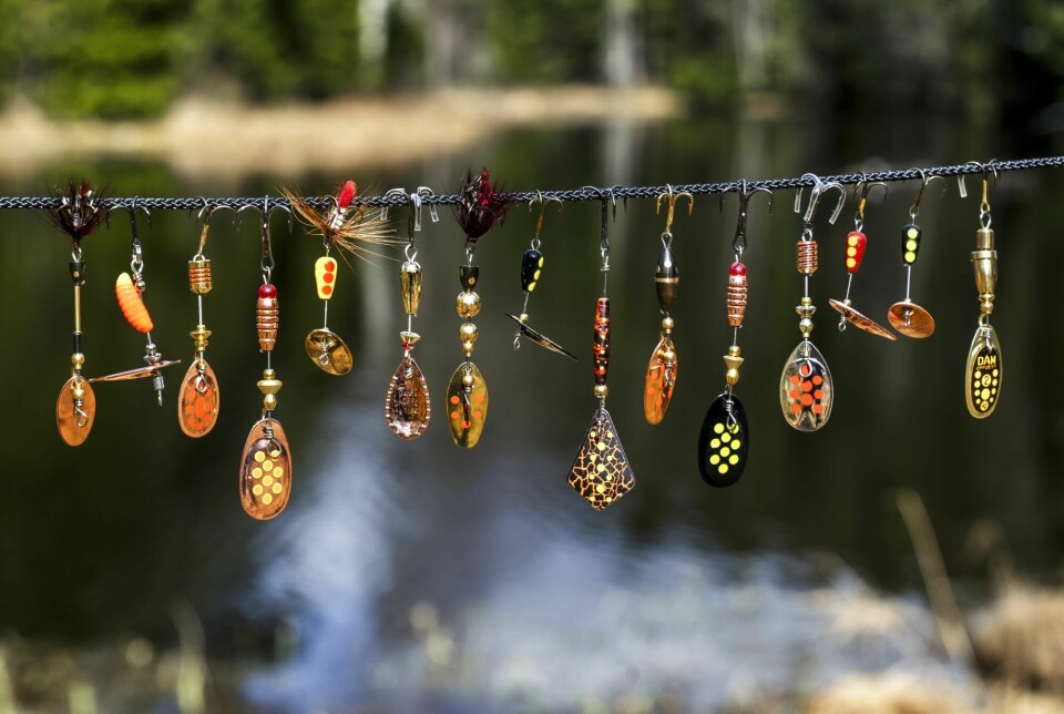 TEST: Dersom du lurer på hvilken spinner du bør velge til ørretfiske, kan denne testen gi deg forhåpentligvis gi deg noen svar.