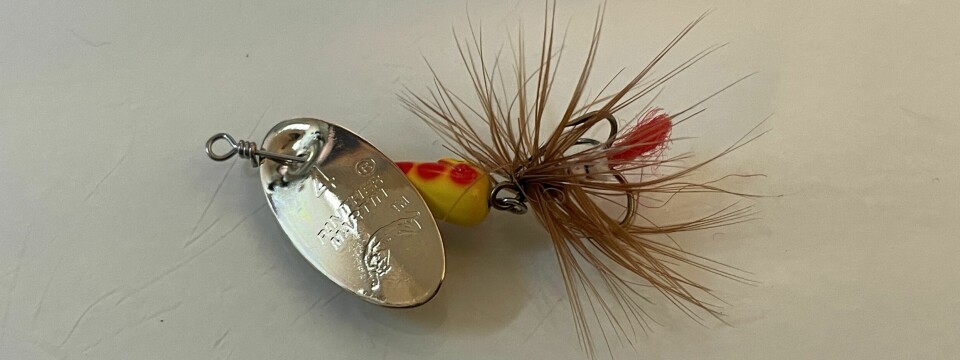13. Panther Martin Classic fly 3,54 gGull/brunAntall ørret på land: 16Antall sikre napp: 30Antall bonusfangst: 9Pris: 75,-