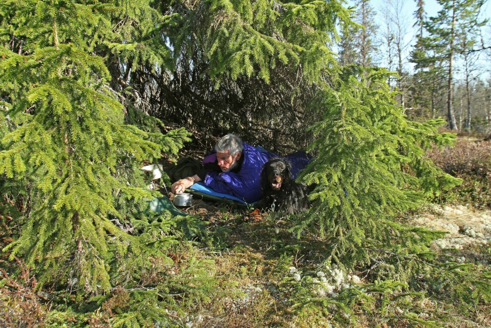 UNDER GRANA: Dersom det er plass og du finner en flat liggeplass, er overnatting under ei gran med lave kvister en fin leirplass.
