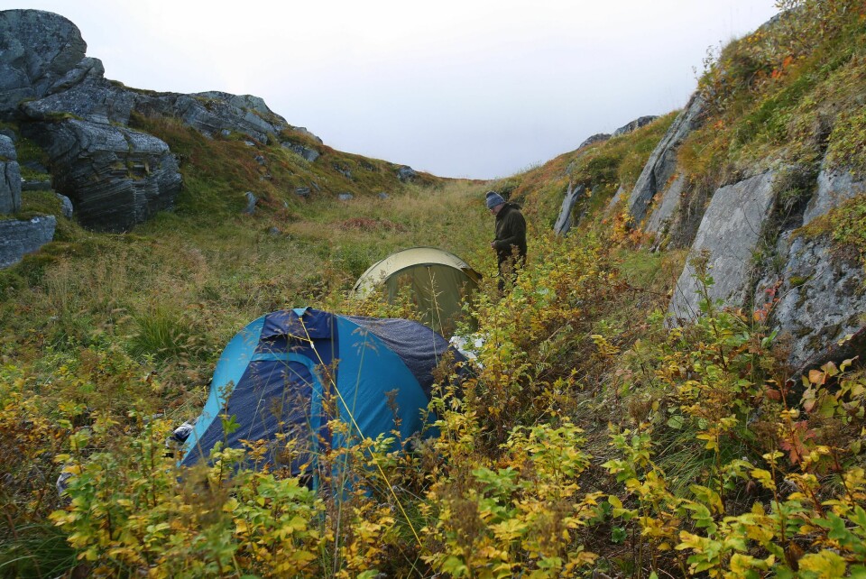 I LY FOR UVÆR: I fjellet og andre utsatte steder er det noen ganger utrivelig å ha en eksponert leir. Det hender telt spjæres og turutstyr fyker på sjøen eller over vidda. Derfor tar erfarne folk hensyn til værmelding og vindretning når det velges leirplass. På bildet vises en leir i stille vær, godt beskyttet i ei kløft. Dagen etter, i fossregn og vind, ville en mer utsatt leirplass vært betydelig mer ubehagelig.