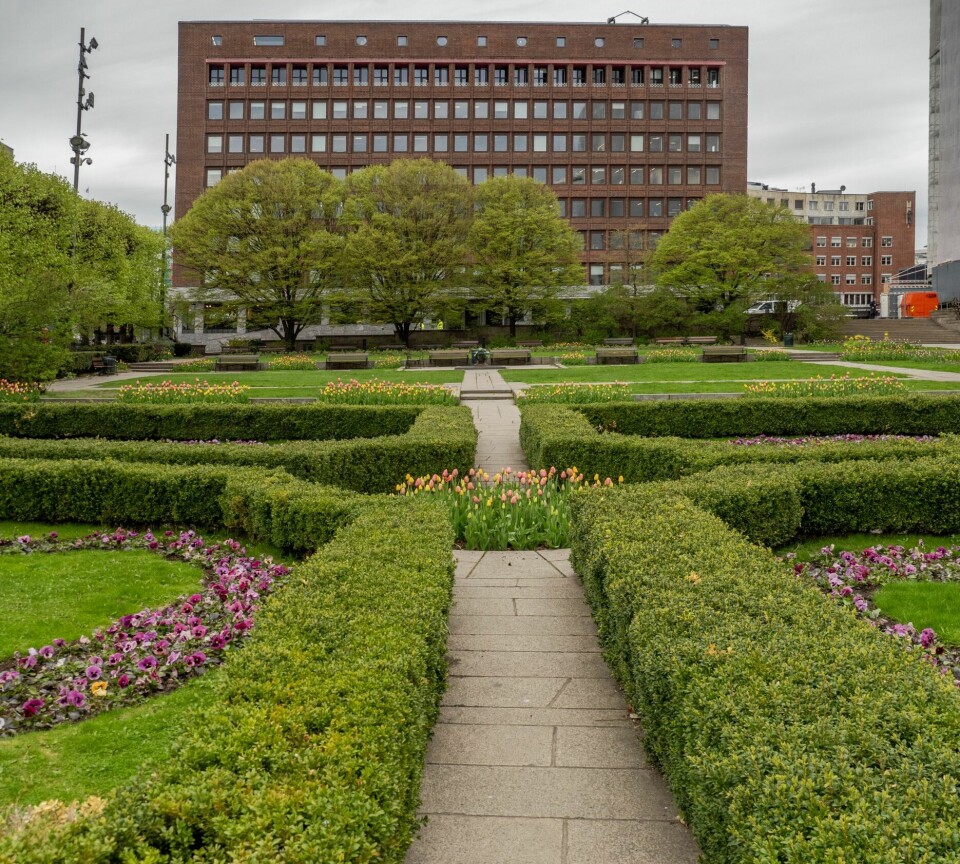 RÅDHUSHAGEN I OSLO: Linn har en master i plantevitenskap og jobber som parkforvalter. Hun har blant annet ansvar for å planlegge og bestille inn blomstene til dette smykket i hovedstaden.