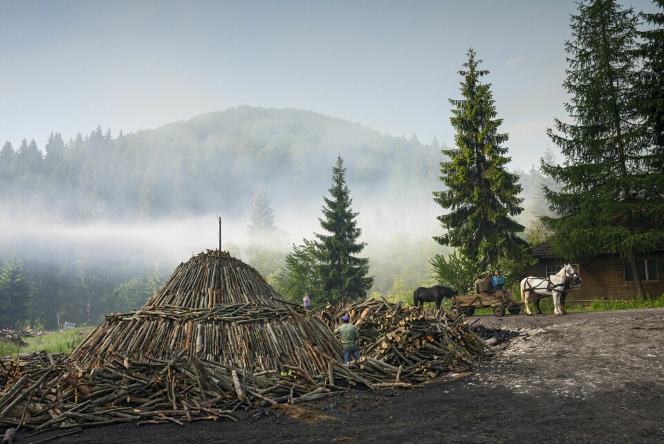 GAMLEMÅTEN: Selv om mesteparten av veden blir fraktet med gamle lastebiler til kullmilene i dag, er det fortsatt noen kullbrennere som sverger til gamlemåten med hest og kjerre. Røyken fra kullmilene skaper en trolsk atmosfære i skogen i Draculas hjemstrøk, idet det første hestespannet legger ut til en ny dag med vedhugst i skogen.