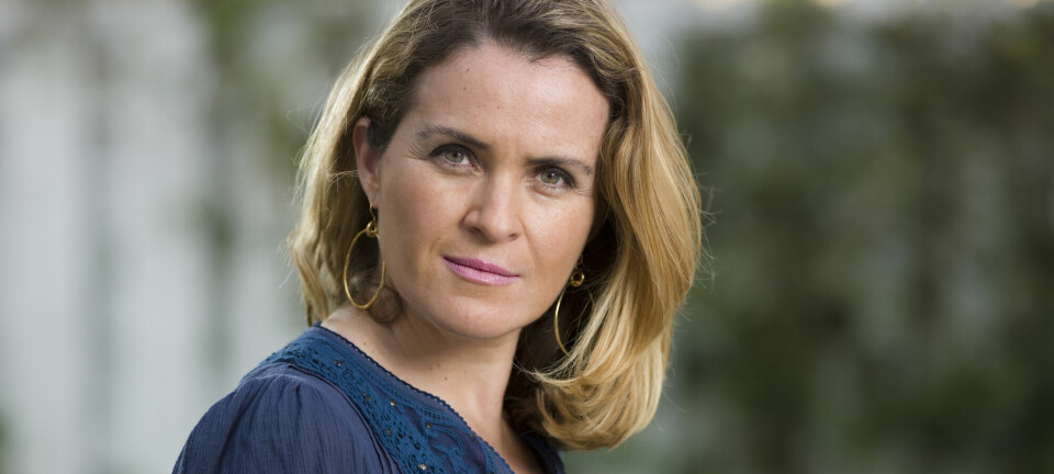 Jeg tittet inn i naboens hage og fikk hakeslepp, det kunne ikke stemme