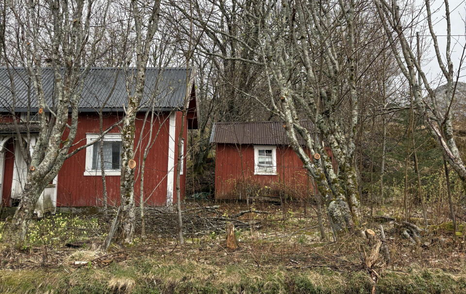 BODDE HER: Andreas Følling er kjempeallergisk mot pelsdyr. Da villkatten Frøken Annekatt valgte ham som sin person, klarte han ikke å stå imot. Kjøpte en campingvogn til henne.