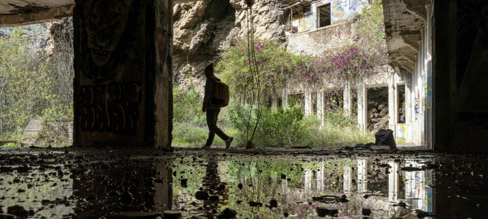 Langt fra masseturismens ståk på Gran Canaria, finner vi en hemmelig verden
