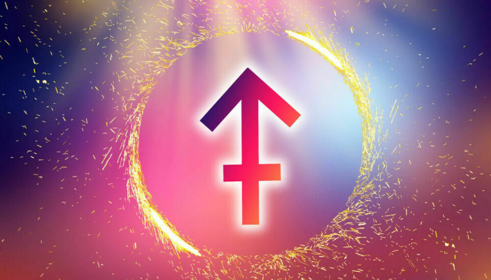 SKYTTEN: Mennesker født mellom 23. november og 21. desember tilhører Skytten.