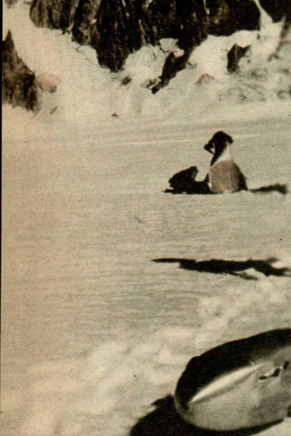 RESERVETANKEN: I Vi Menn-artikkelen fra 1961 beskrives dette som rester av gondolene som falt ned. Trolig er gjenstanden nærmest faktisk flyets reservetank som ble revet av i sammenstøtet med kabelen.