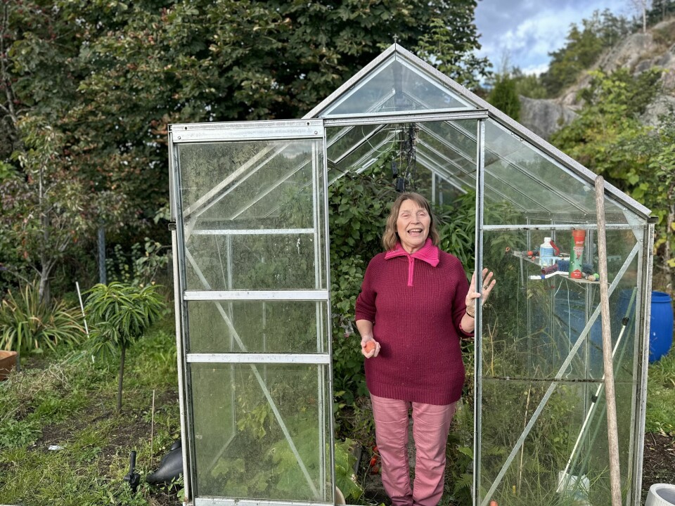 GRØNNE FINGRE: Irene har alltid elsket å plante og stelle med planter.