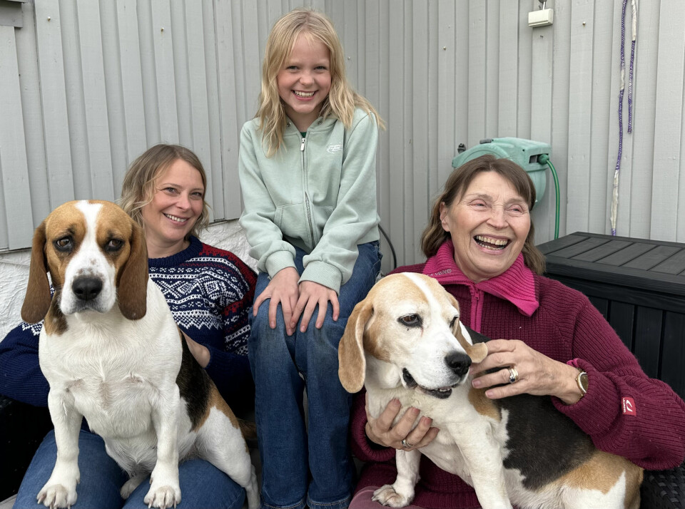 HUNDEKOS: Hundene betyr mye for Irene, og sammen koser familien seg med de firbente vennene.