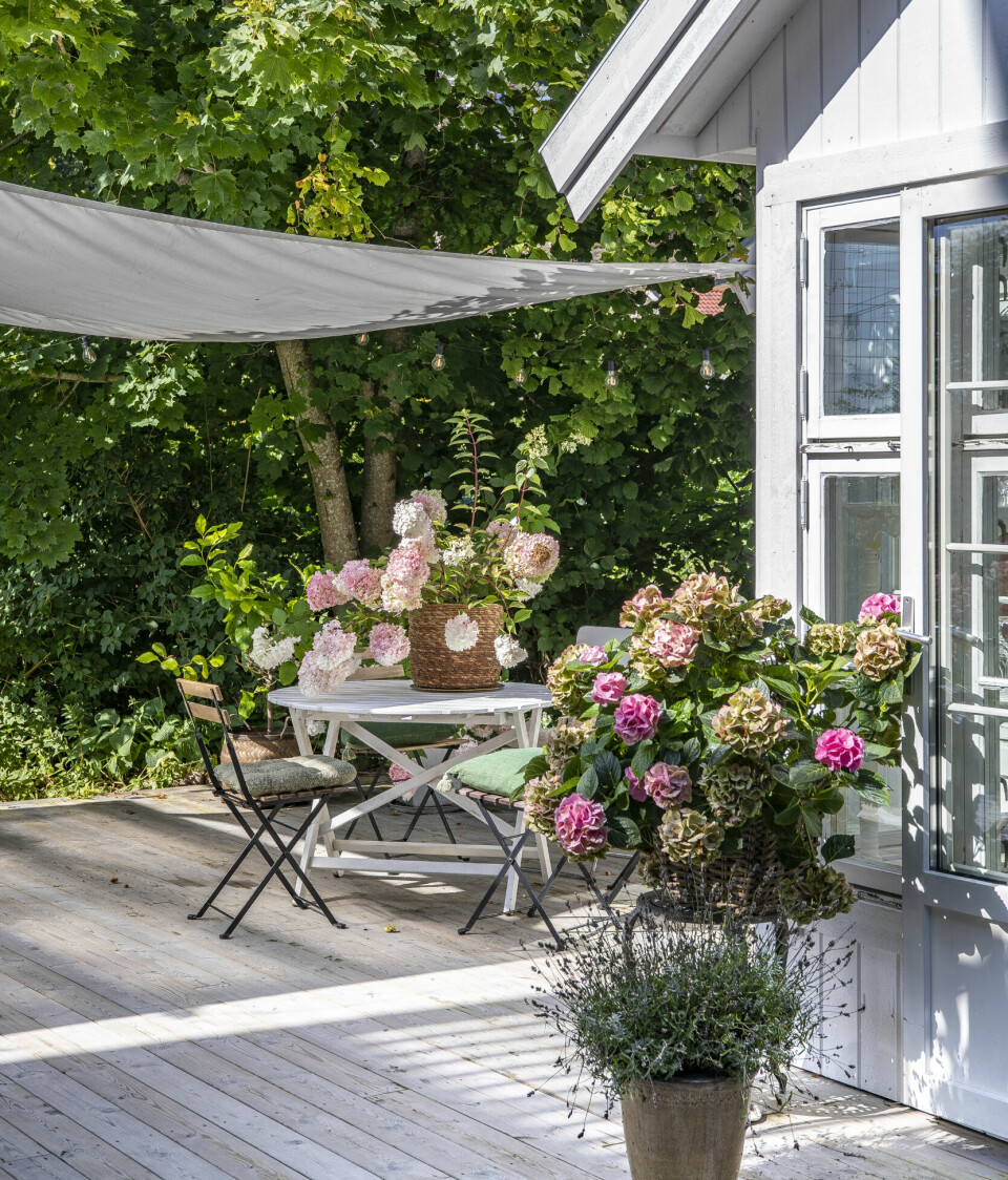 BLOMSTRENDE UTEPLASS: På sommeren bruker de like mye uteplassen som inne. Her nyter både overnattingsgjester og forbipasserende en is eller kaffe i sola. Maj elsker planter og blomstrer, og planter stadig noe nytt.
