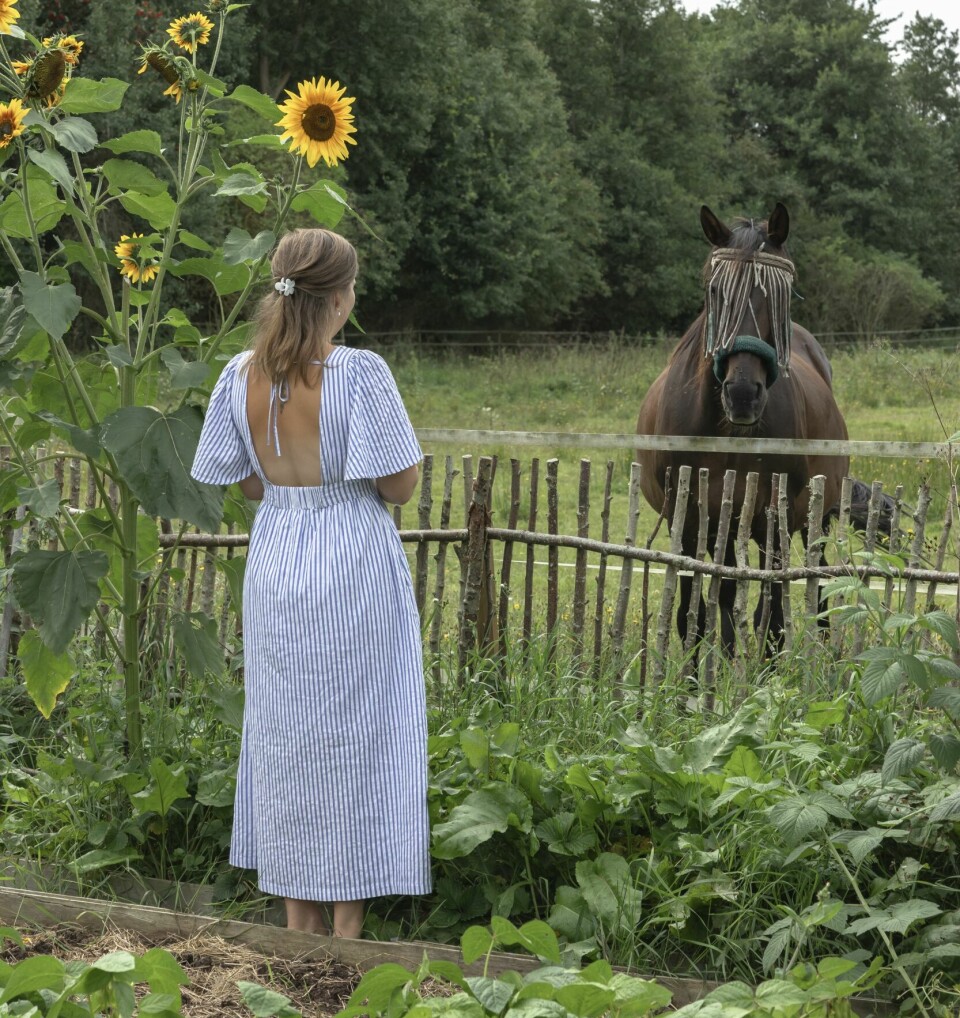 FIRBENTE VENNER: På gården finnes både hester og en hund.