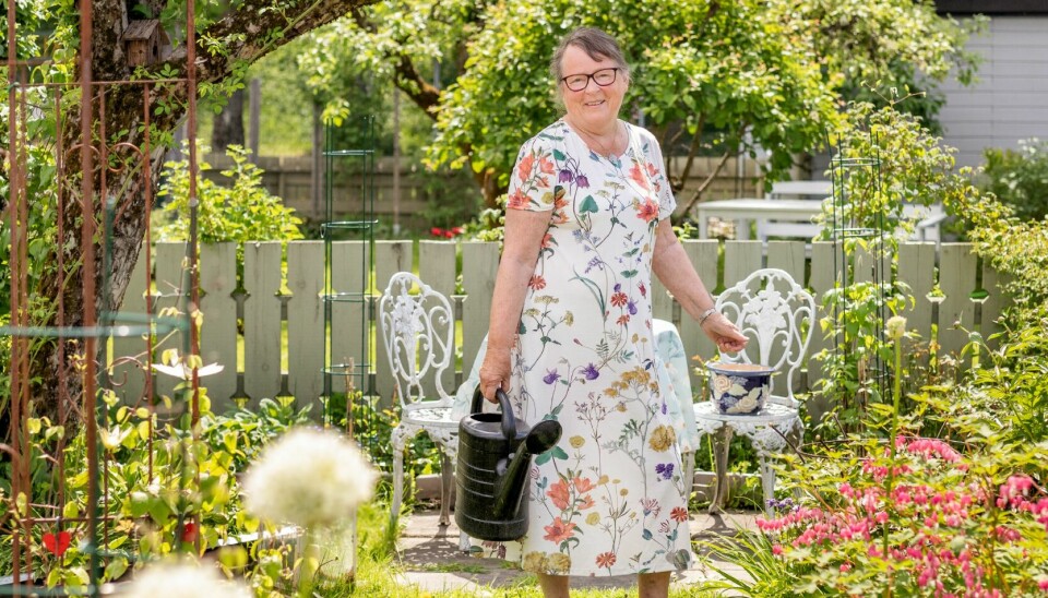 TRIVES: Bjørg storkoser seg i den lille kolonihagen sin i Skien. Her bor hun fra slutten av april til utgangen av september, og her holder hun seg i aktivitet.