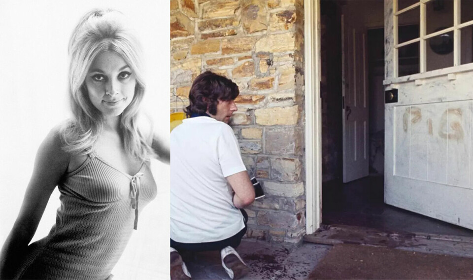 RYSTET HOLLYWOOD: Filmregissør Roman Polanski var på filmopptak i London da han fikk den rystende nyheten om hva som hadde skjedd med kona Sharon Tate (26). Her er han tilbake utenfor huset dagen etter. Han lot seg avfotografere i håp om at det kunne bidra til en oppklaring av saken.