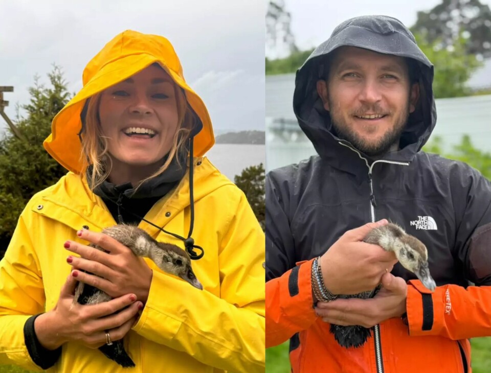 GLAD I FUGLER: Jørgen er veldig fornøyd med morgengaven han fikk av sin kjære og har snekret et eget hus til endene.