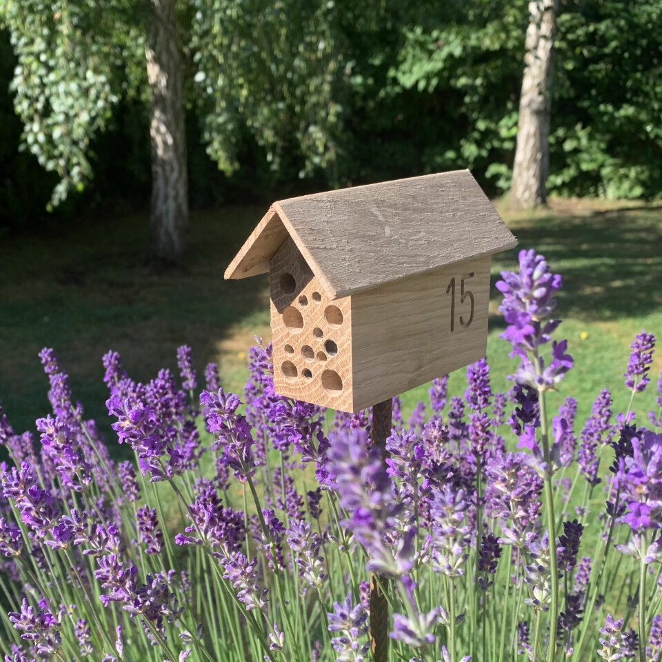BED & BREAKFAST: Legg til rette for insektene, så vil det bli en bedre balanse i uterommet, og ofte mindre skadedyr. Lavendel tåler mye og kan gjerne tørke ut litt i perioder, men gir også mye næring til dem som bor i insektshotellet fra Smart Form Sweden.