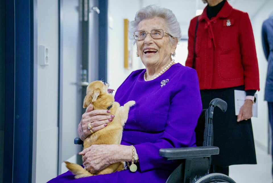 MATMOR: Prinsesse Astrid har alltid hatt en hund i sitt liv, både store og små. Nå er det omplasseringshunden Wilma fra Solplassen som er den utvalgte.