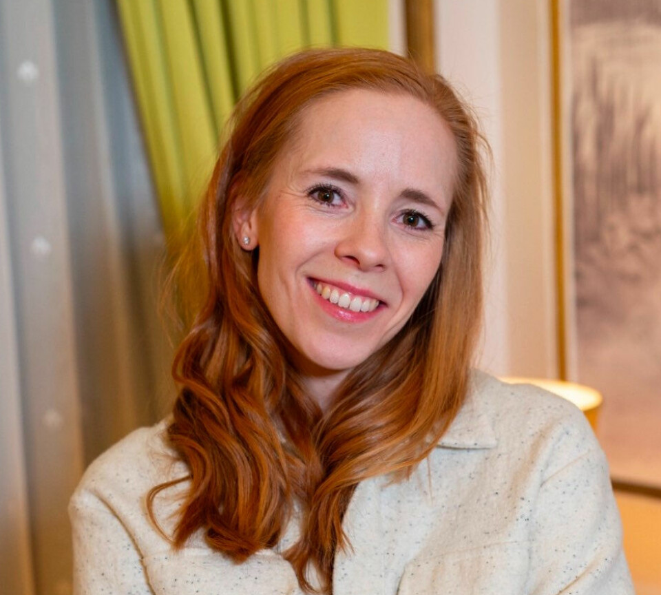 FEMTITALLET: Martine Strømsnes elsker femtitallet og har skrevet flere romanserier fra den tiden, hun er særlig kjent for seriene Husmorskolen og Feriekolonien.