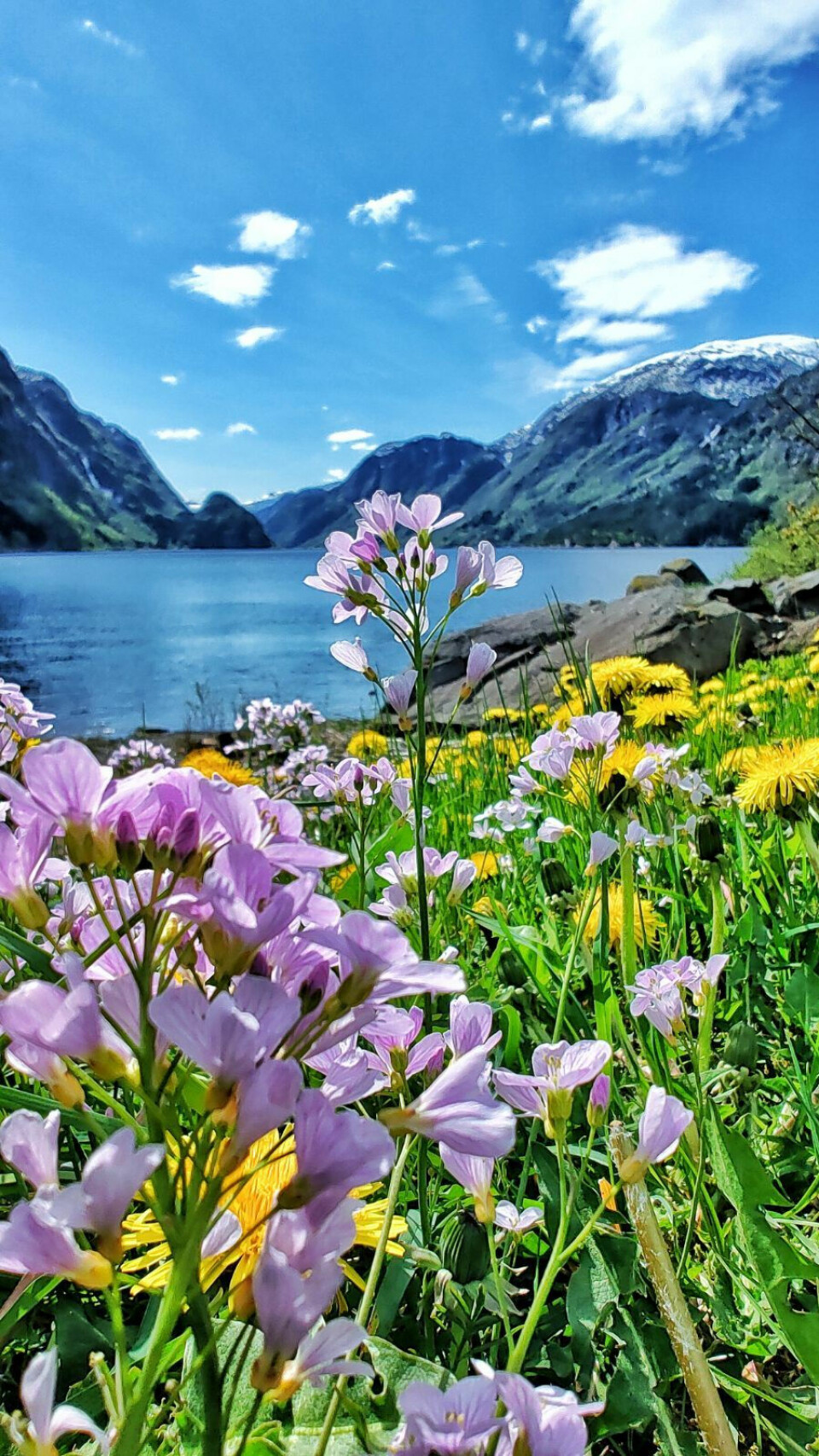 SOMMER I ODDA: Stian ble etter hvert en ganske dyktig fotograf, og Kjersti hadde problemer med å velge blant utallige vakre bilder. Men sommeren i Odda var begge to glad i.