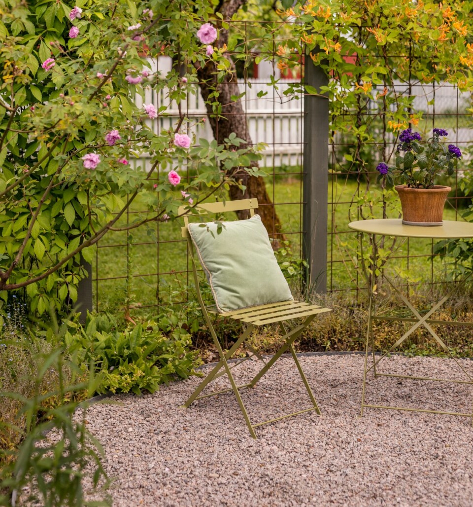 ROSEBUE: Planen med rosebuen var å anlegge en vakker rosehage, men foreløpig har det vært litt stang ut: Rosene trives ikke så godt der fordi det er for mye leire i jorden. Bordet og stolene er fra Plantasjen.