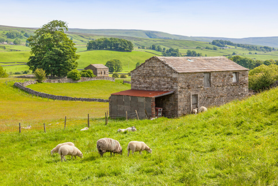 FRODIGE DALFØRER: Naturen i Yorkshire Dales har noe tidløst over seg og er akkurat like vakker som i TV-serien!