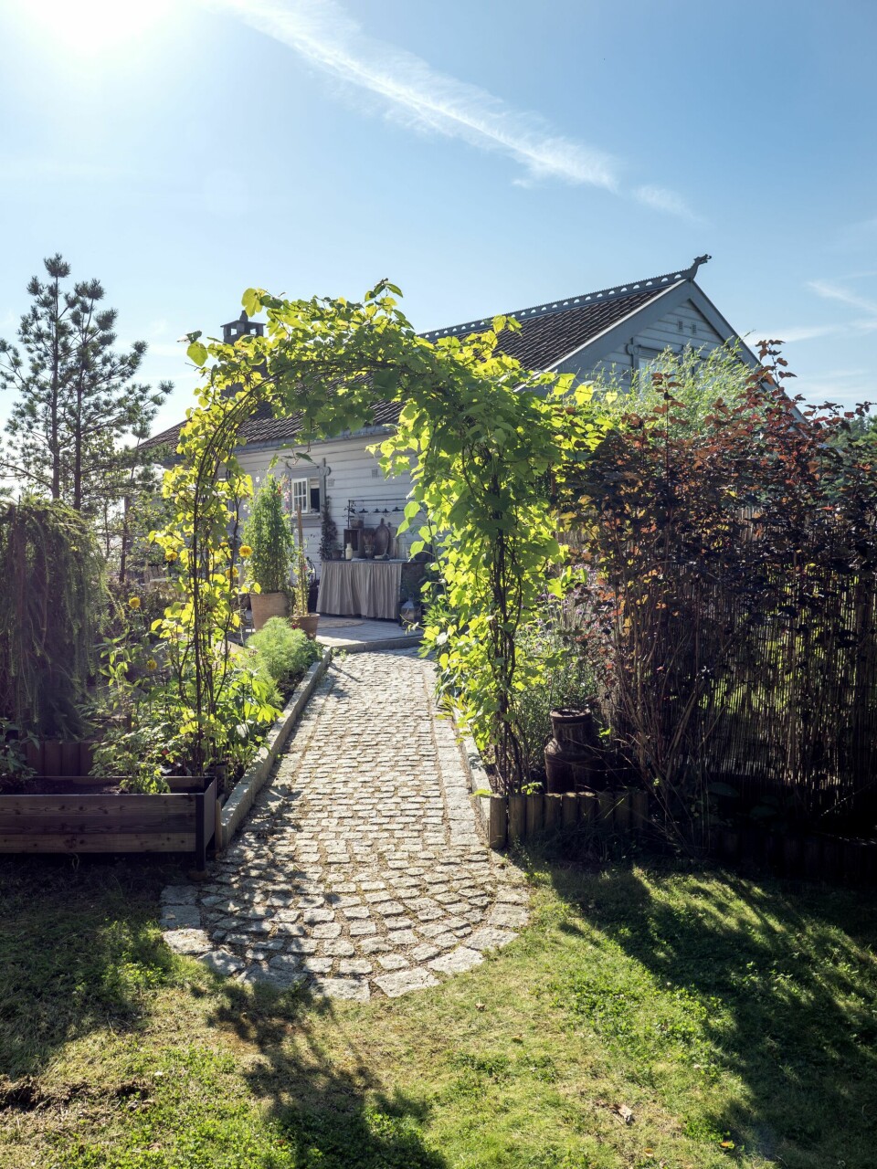 INNGANGSPARTI: En sti av brostein omgitt av frodighet ønsker velkommen inn i hagen. På hagebuen som er laget av bøyd armeringsjern vokser en drueplante.