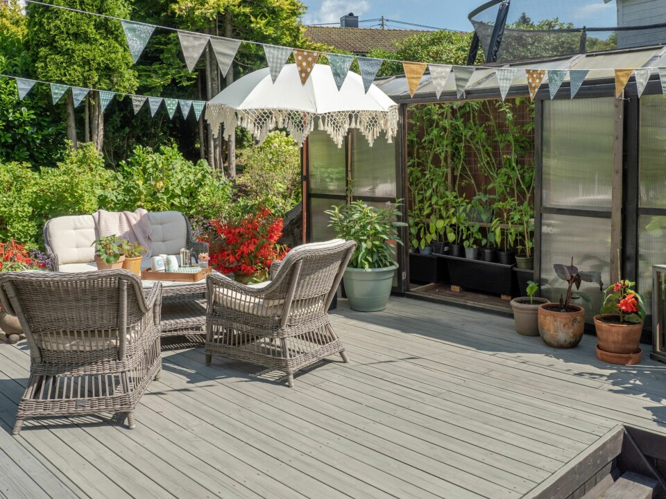 BAKHAGEN: I veggdrivhuset stortrives tomater, agurker og chili. –Her er det lunt å sitte tidlig på året fordi denne sonen ligger i le av huset, garasjen og gjerdet. Her er det godt med sol fra tidlig morgen. Den perfekt plassen for morgenkaffe og frokost.